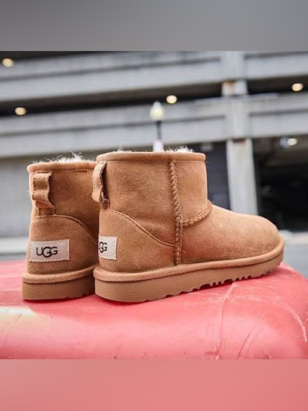 UGG Classic Mini II in Chestnut. 6. NIB